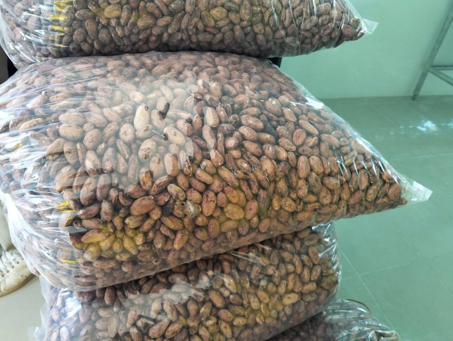 title - หัวหน้าผู้ตรวจราชการ ส.ป.ก. (เขต 3,15 และ 16) ประชุมตรวจติดตามความก้าวหน้าการดำเนินงานตามแผนงานตรวจราชการ ประจําปีงบประมาณ 2569 รอบที่ 1 ณ จังหวัดน่าน